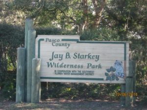 jay-b-starkey-wilderness